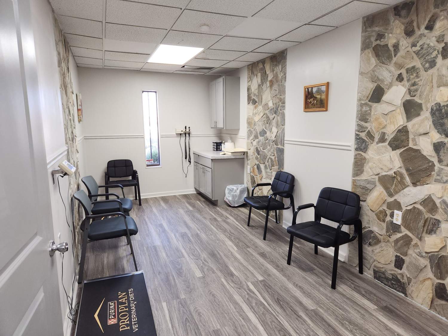 exam-room-img cute dog