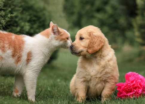 img-book-appointment Andy and Alex action shot