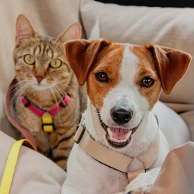 Andy and Alex action shot 2