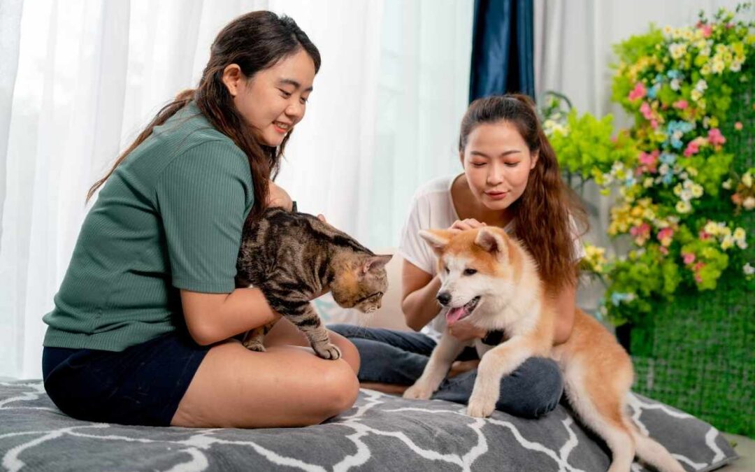 Celebrate National Pet Day: Easy Pet Health Tips from a Trusted Veterinarian